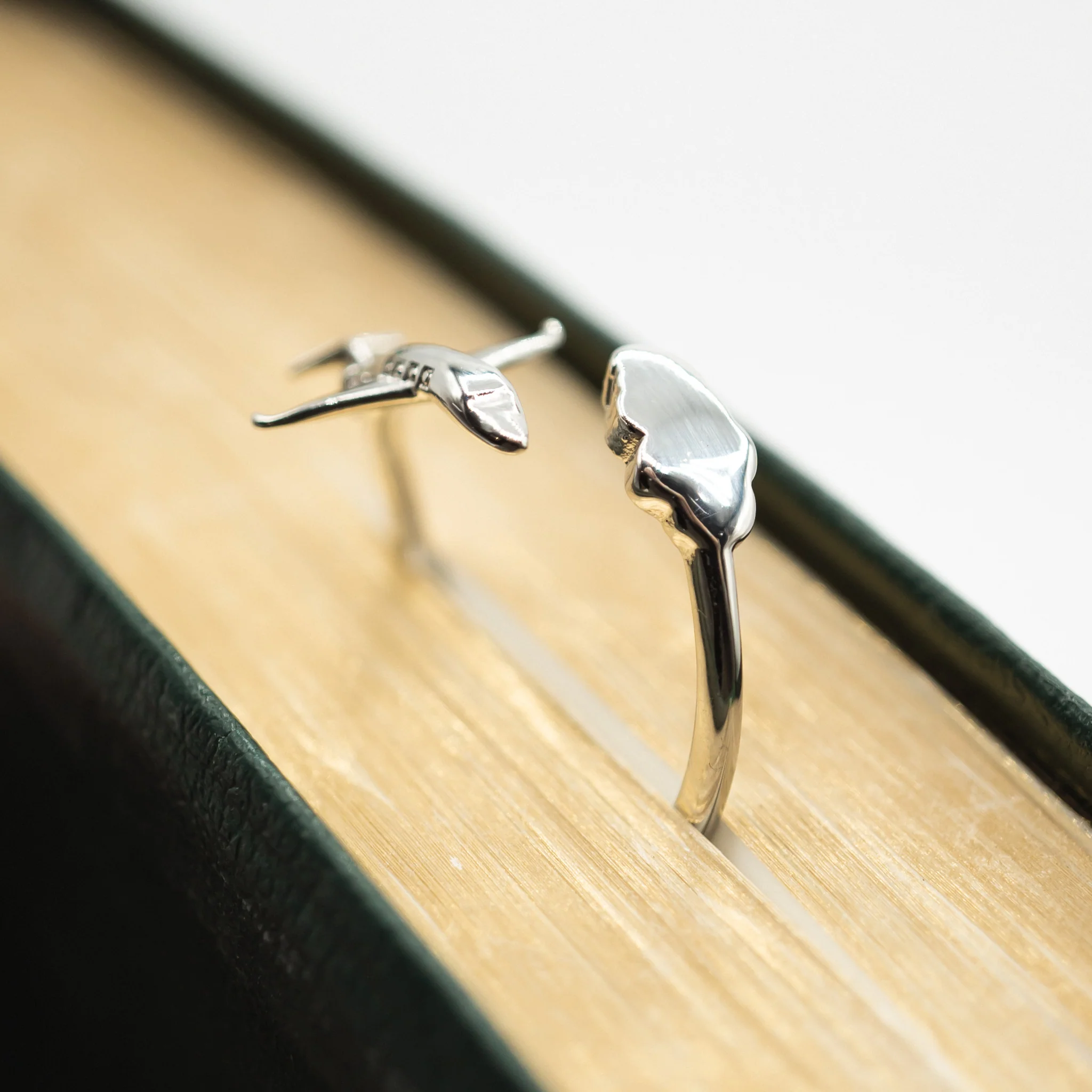 Airplane Ring - Image 2